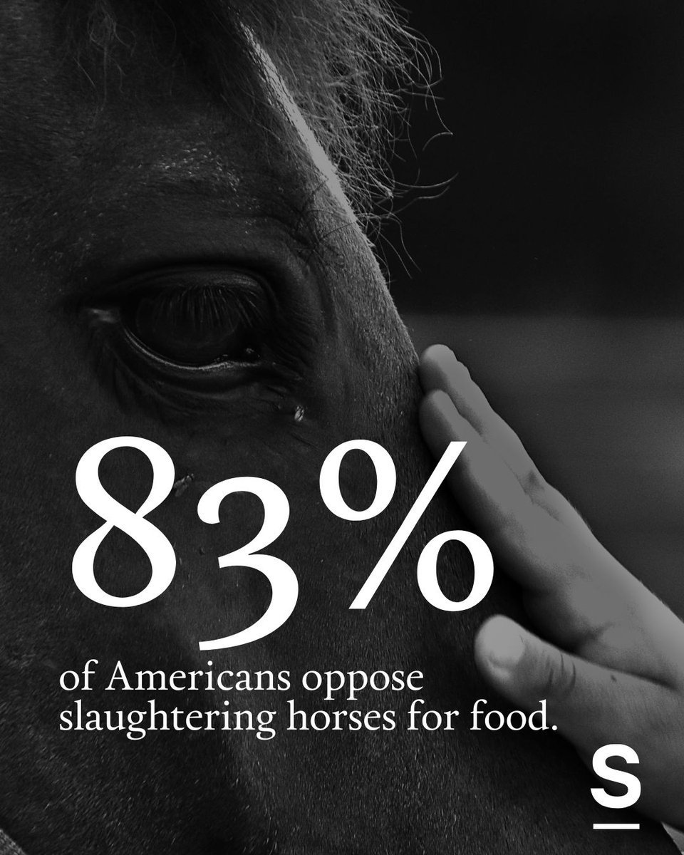 Sentient tweet media