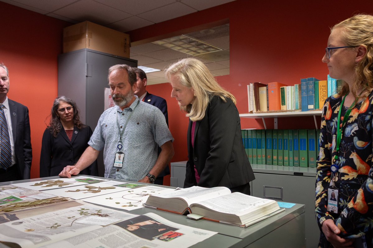 Governor Abigail Spanberger tweet media