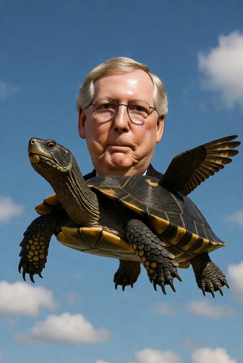 John Jay tweet media