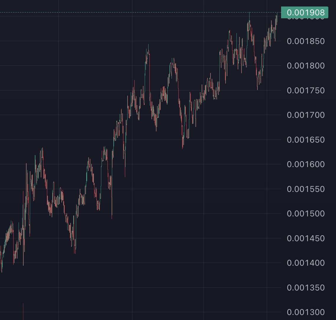 slingoor tweet media