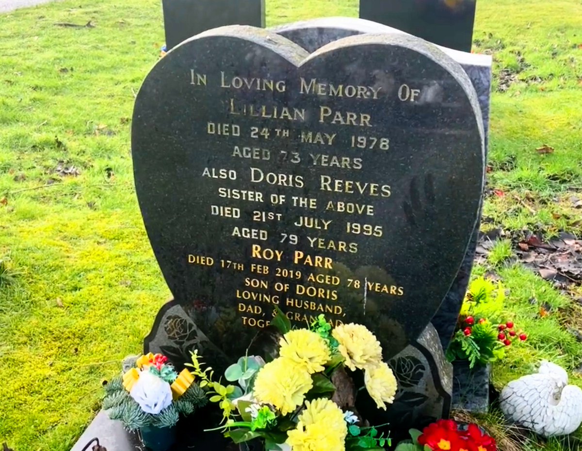 Steve Bolton tweet media