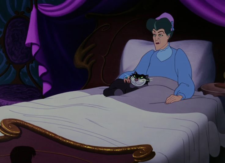 e__m0tion's tweet photo. Ma meilleure pote m’a dit de dormir chez elle, j’ai dit non pour rester dormir avec mon chat https://t.co/zWLktqMLdY