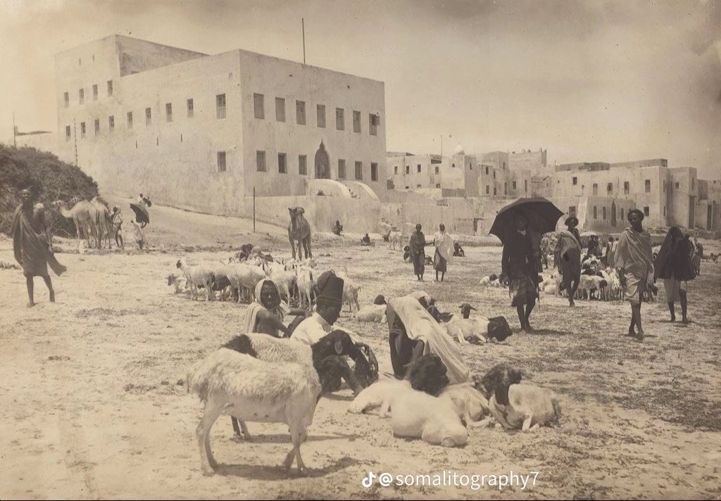 The Somali Dispatch News tweet media