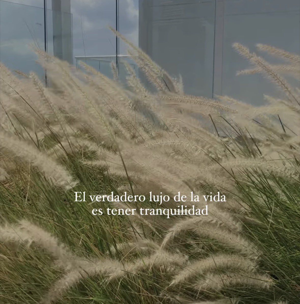 El verdadero lujo 🤍