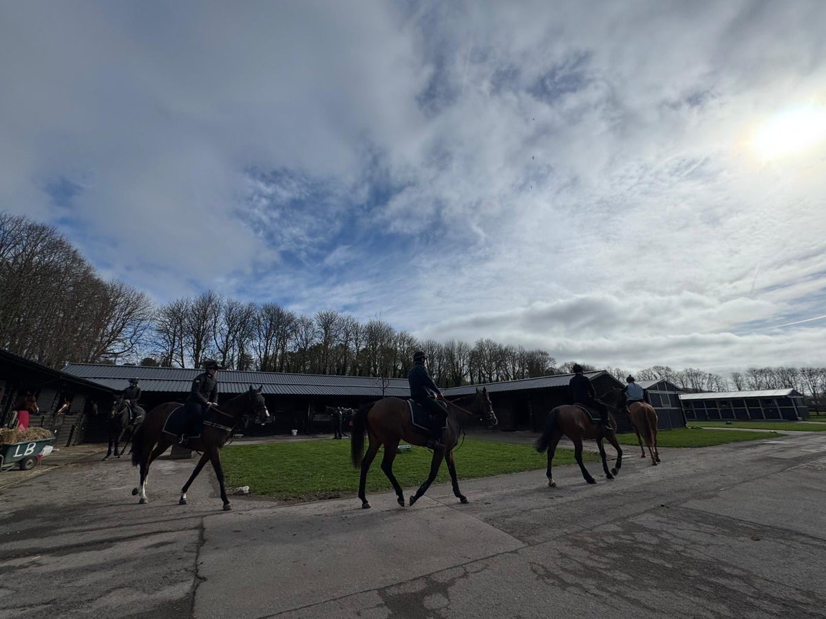 Bath Racecourse tweet media