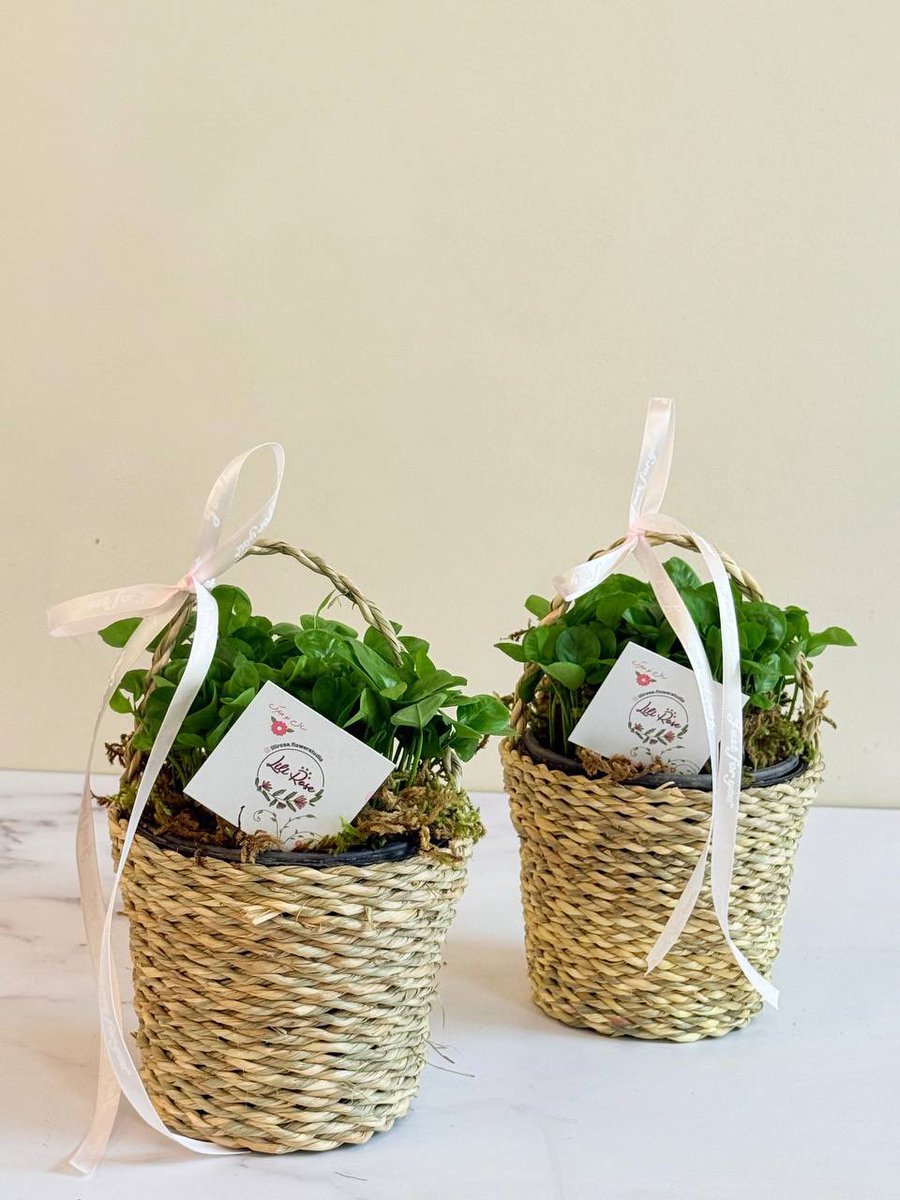 مُنفجرالمغز tweet media