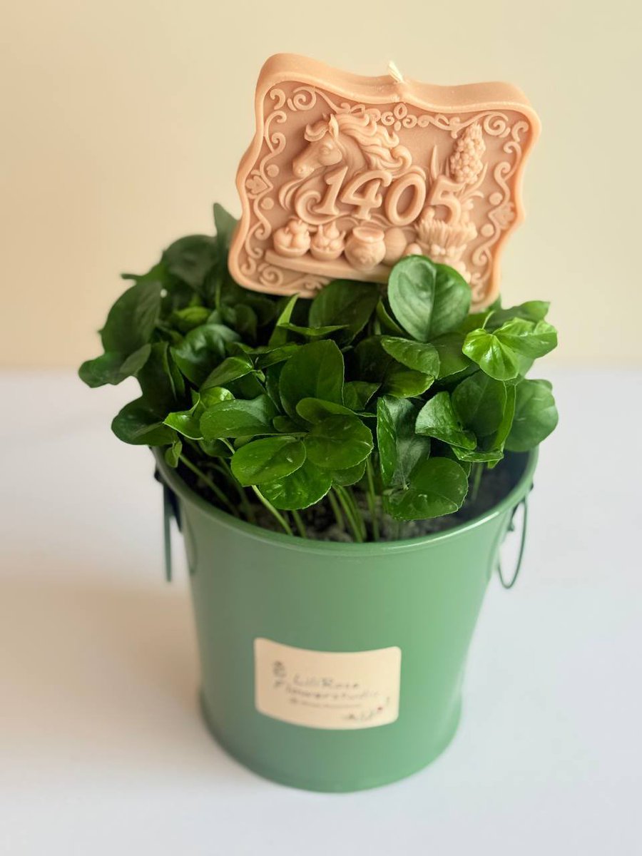 مُنفجرالمغز tweet media