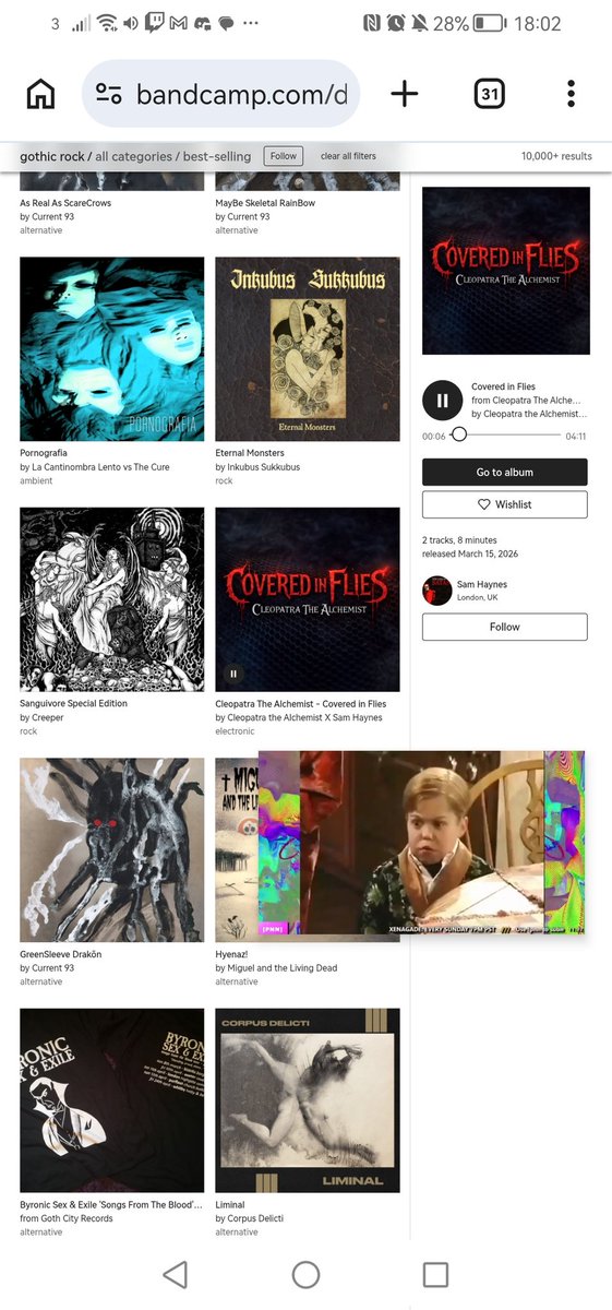 Sam Haynes tweet media