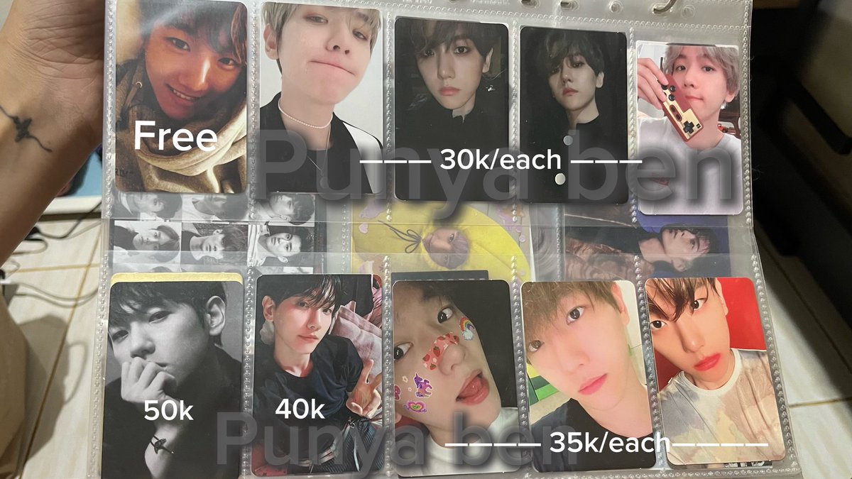 benben🐶 tweet media