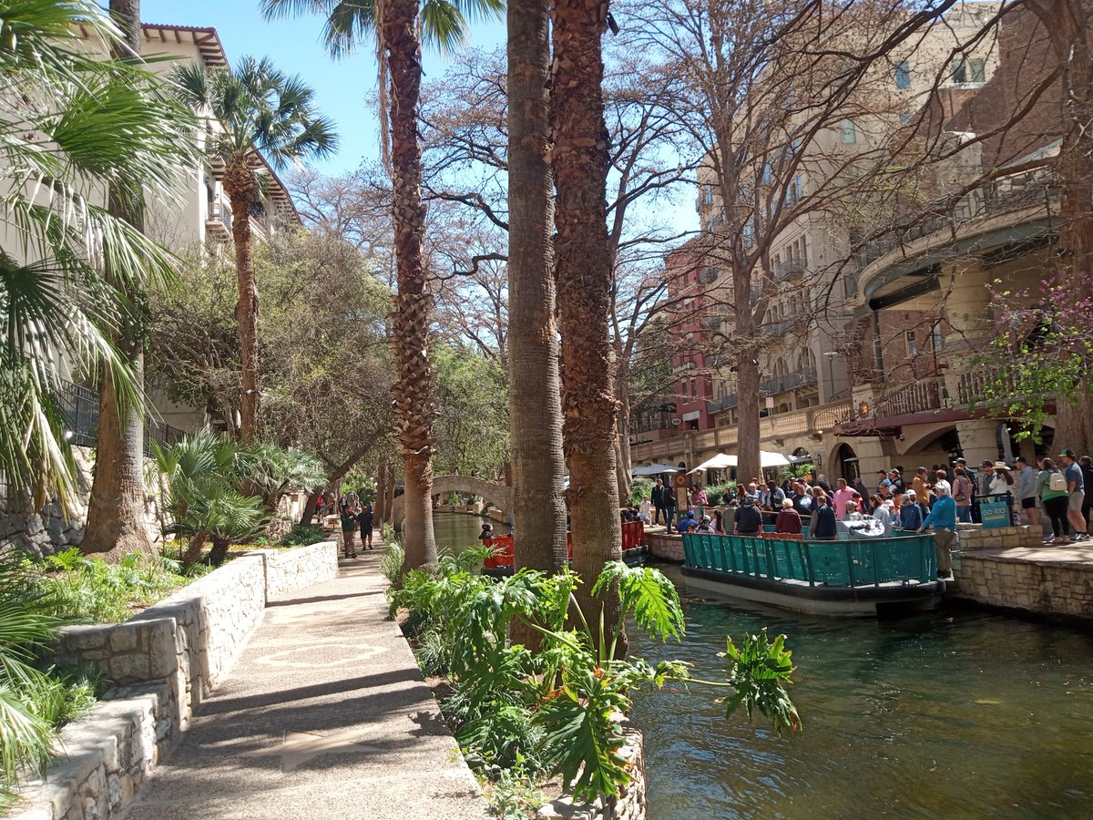 Jack Chambers tweet media