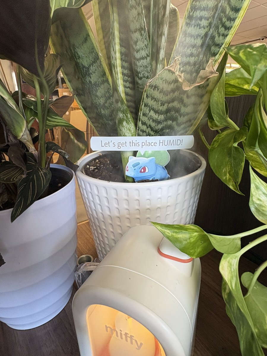 quesabirria taco ˃ 𖥦 ˂ tweet media