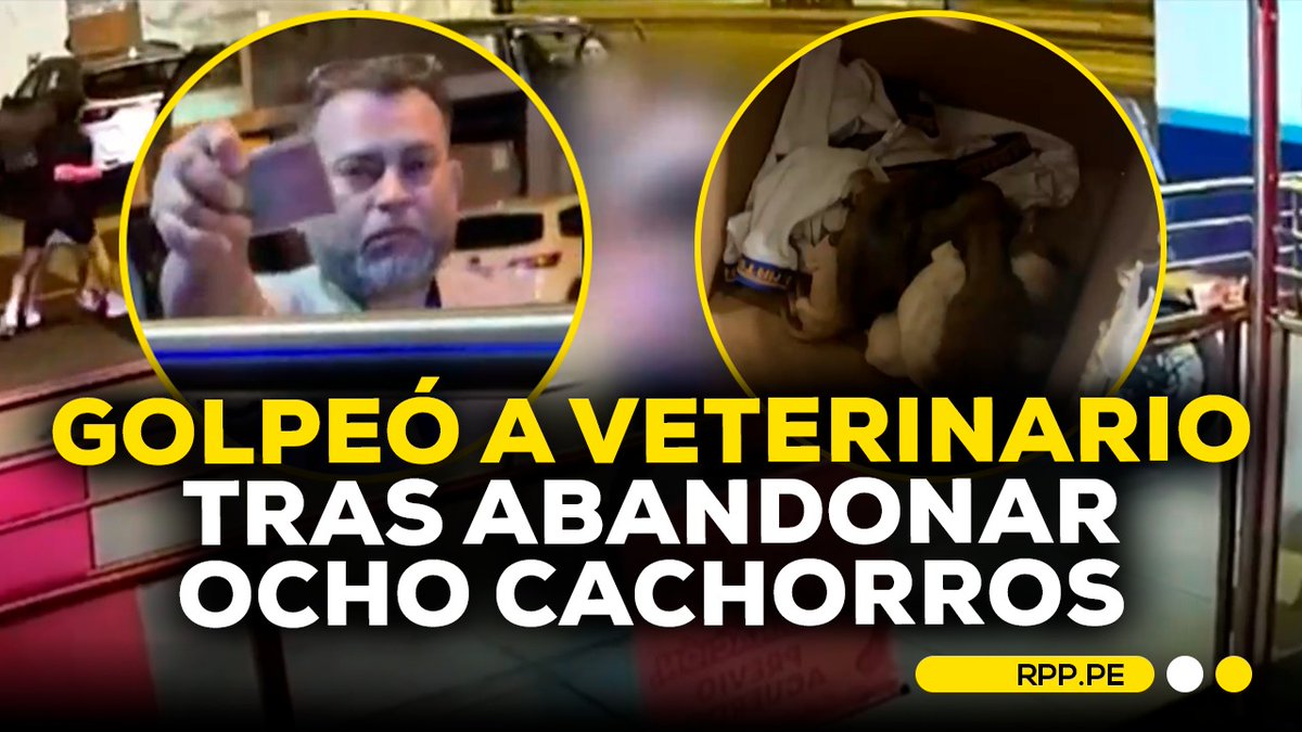 🐶🏥 El médico venezolano Yocer Pinto Briceño agredió al veterinario Gonzalo Roque después de que este lo increpara por intentar abandonar ocho cachorros en la clínica veterinaria Animal Surco. El agresor se encuentra detenido y el veterinario permanece hospitalizado mientras las