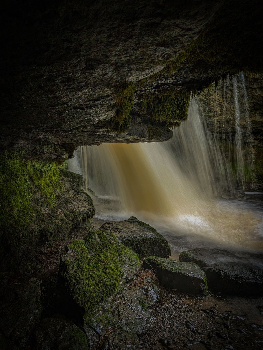 Hannah // Get Lost in Yorkshire tweet media