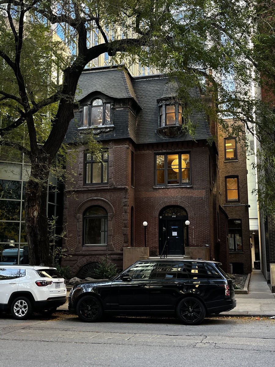 p˚୨୧⋆。🐈˚ ⋆ tweet media