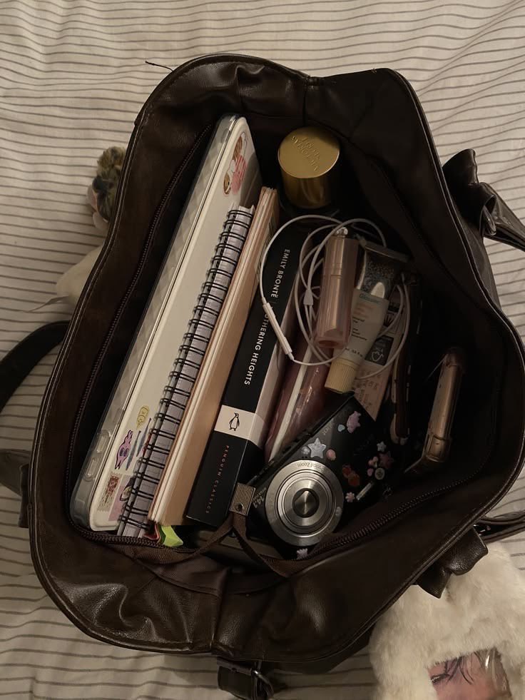 p˚୨୧⋆。🐈˚ ⋆ tweet media