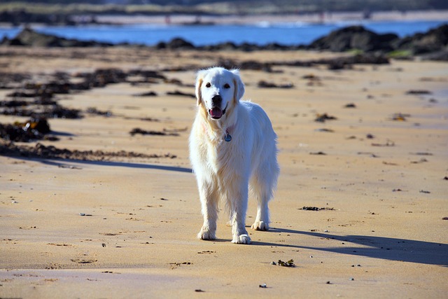 Joseph Current tweet media