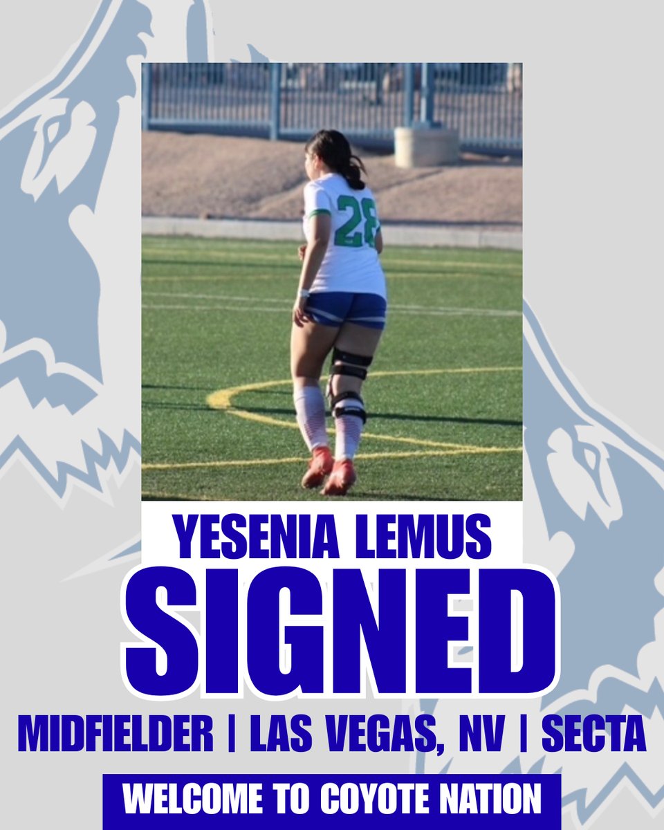 CSN_Women's Soccer tweet media