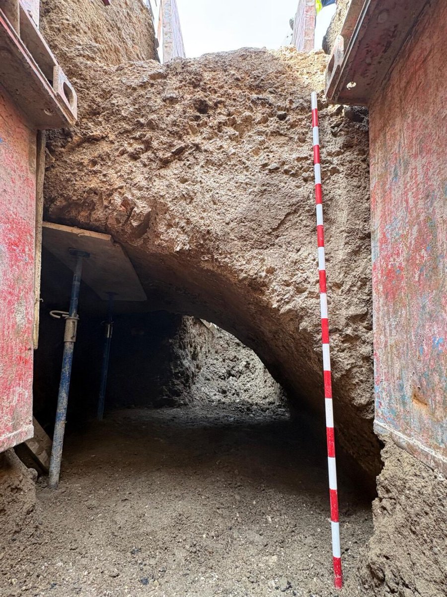 César Dorado tweet media