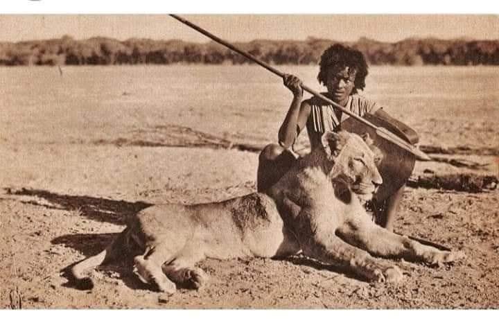 Typical African tweet media