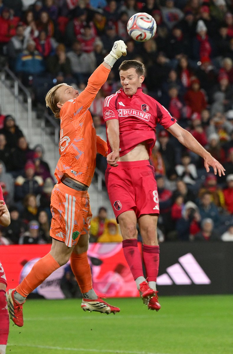 TimVizerPhoto tweet media