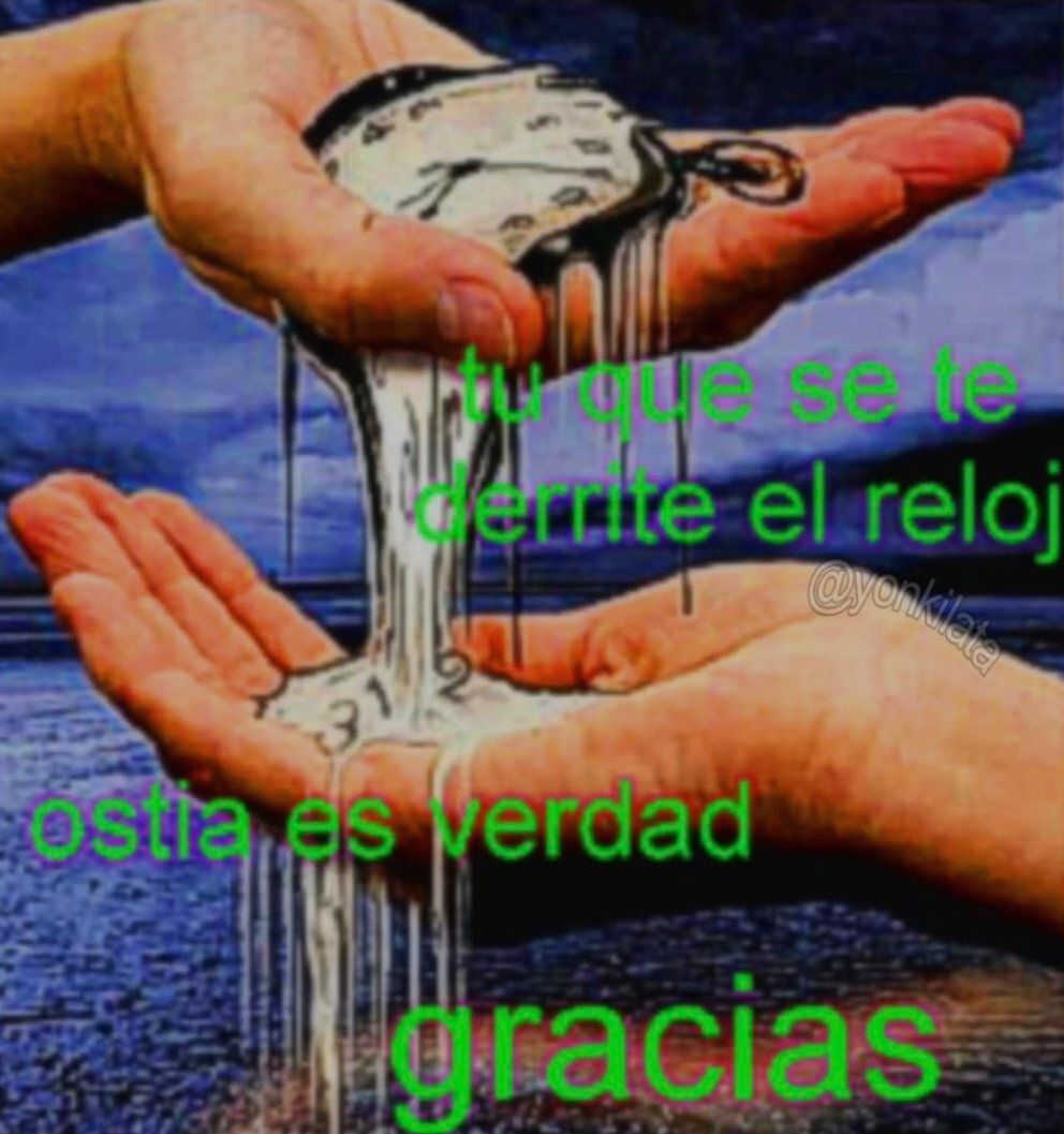 chincheto pirata somali tweet media