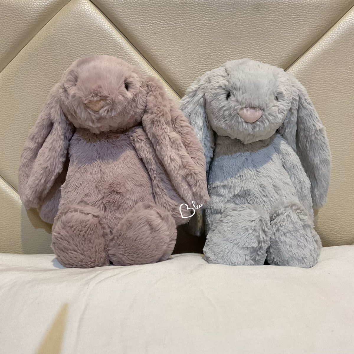 bleu ˙𐃷˙ || @ after dm tweet media