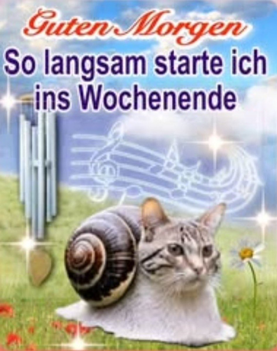 foxglove tweet media