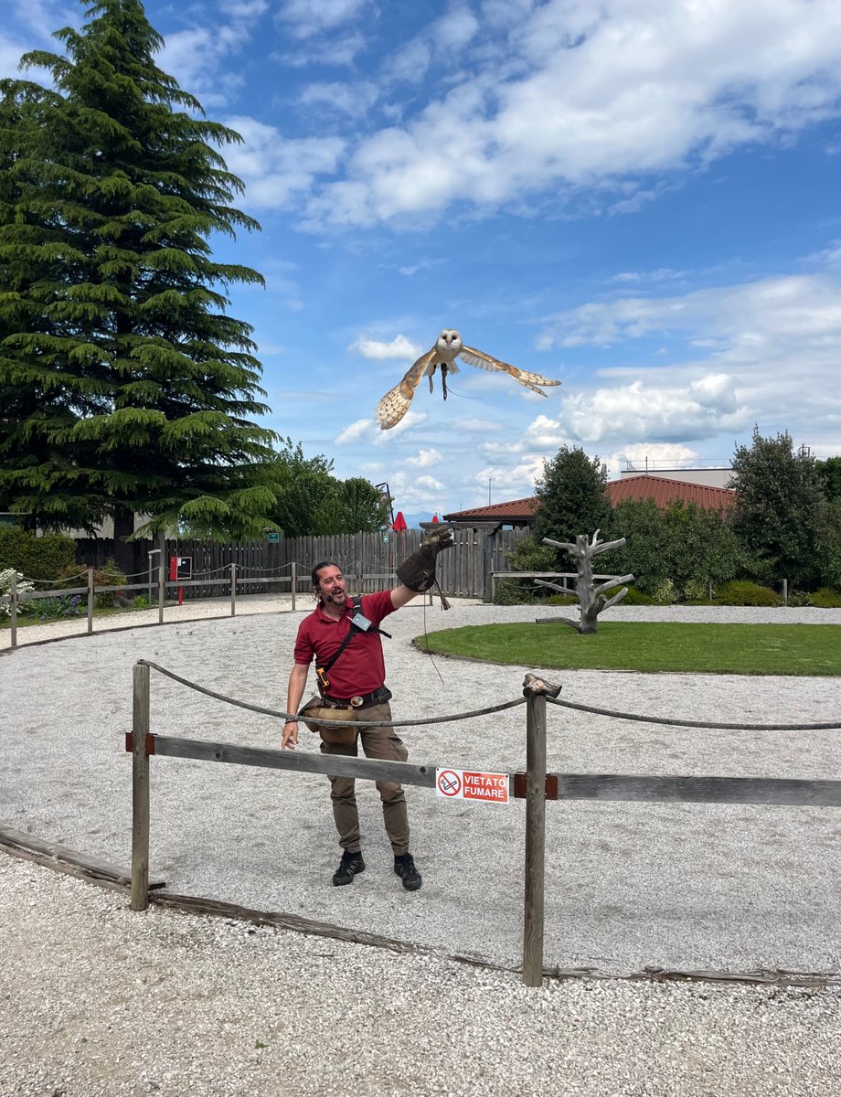 TurismoFVG tweet media