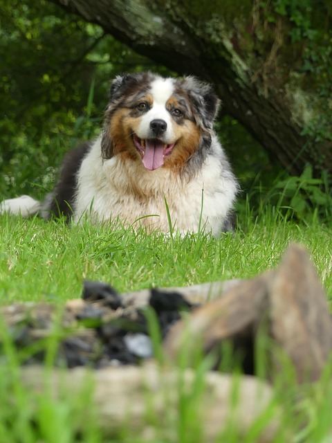 Adam Stephenson tweet media