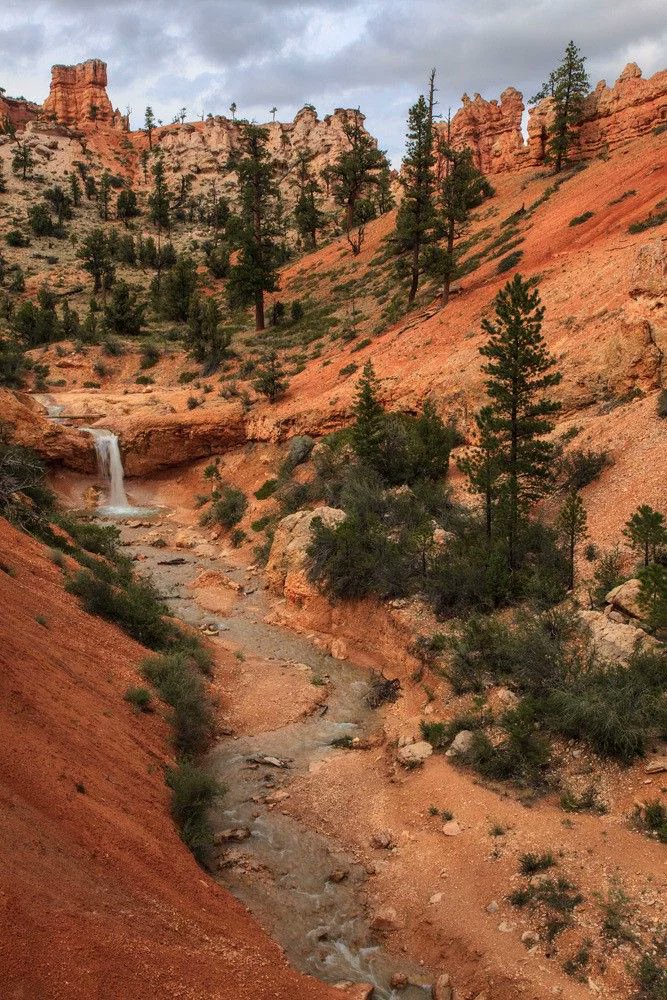 American Conservation Coalition tweet media