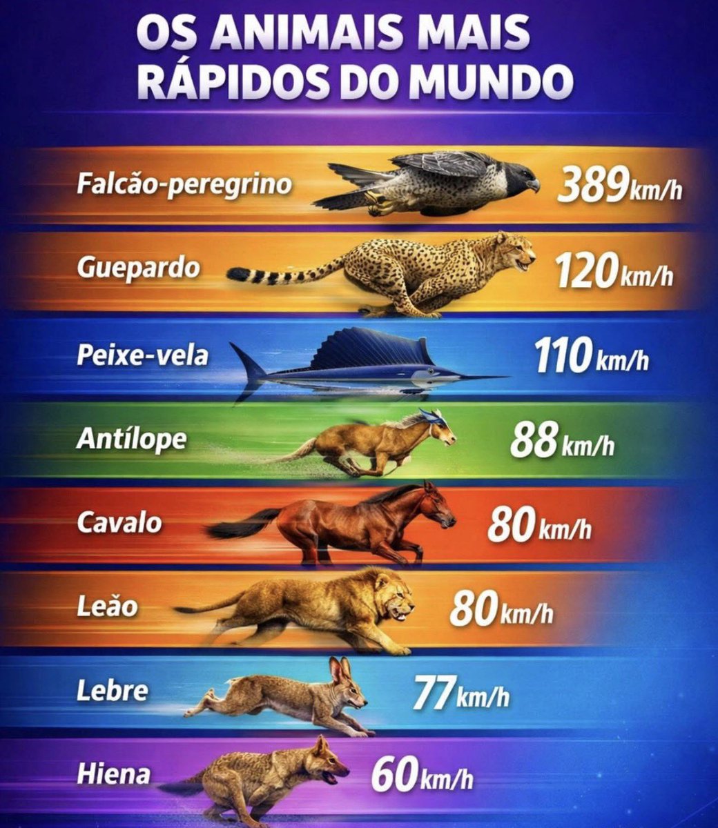 WanderValero tweet media