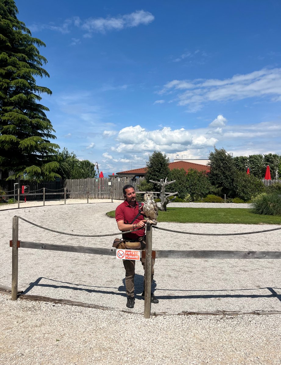 TurismoFVG tweet media