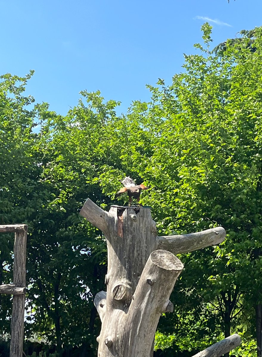 TurismoFVG tweet media