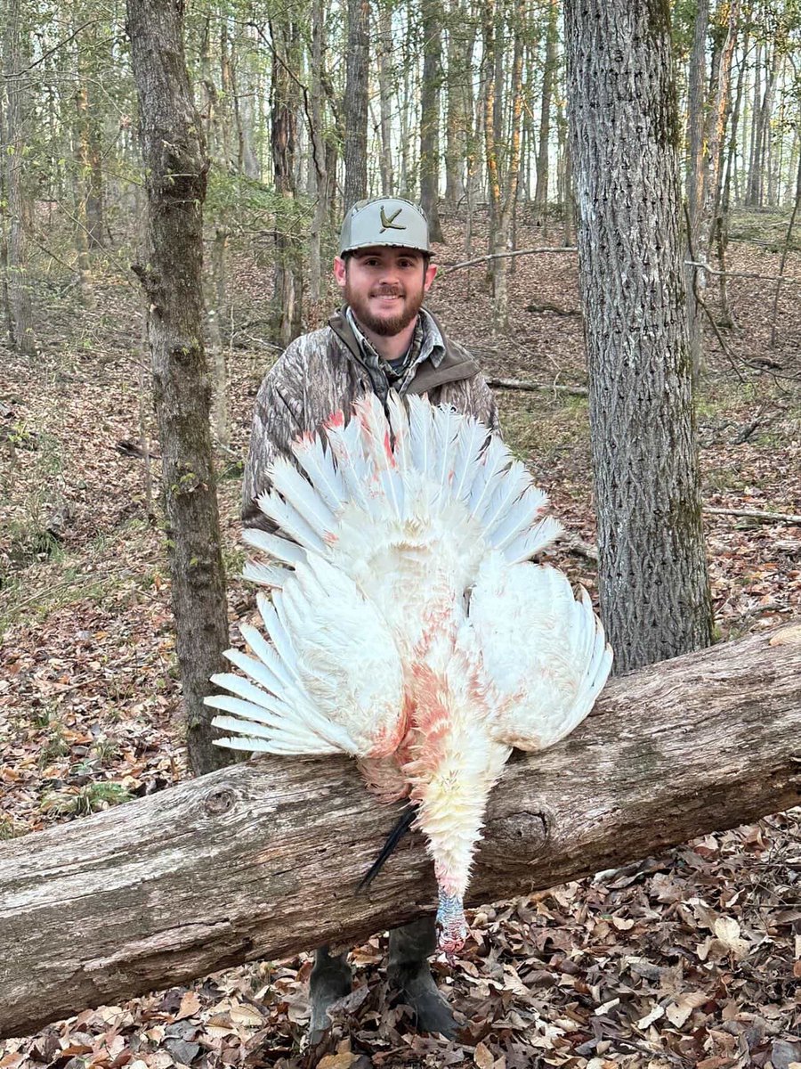 Buckmasters Nation tweet media