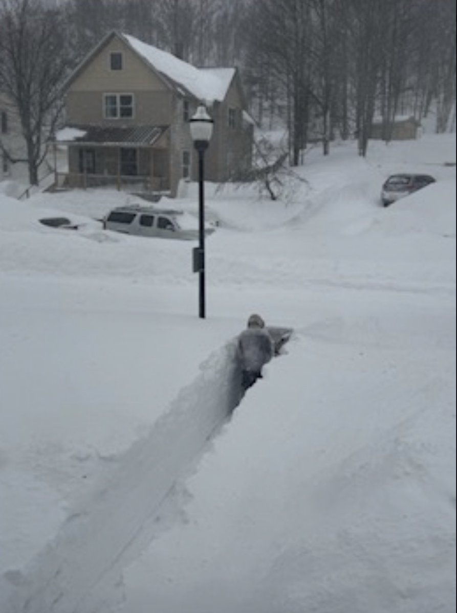 Thierry Goose tweet media