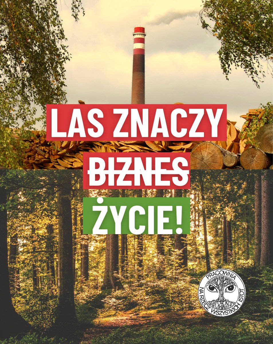 Pracownia Bystra tweet media