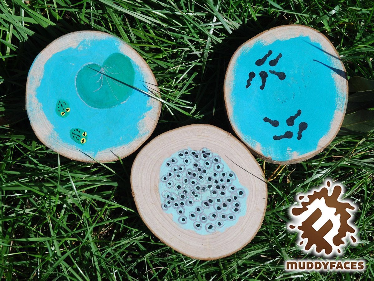 Muddy Faces tweet media