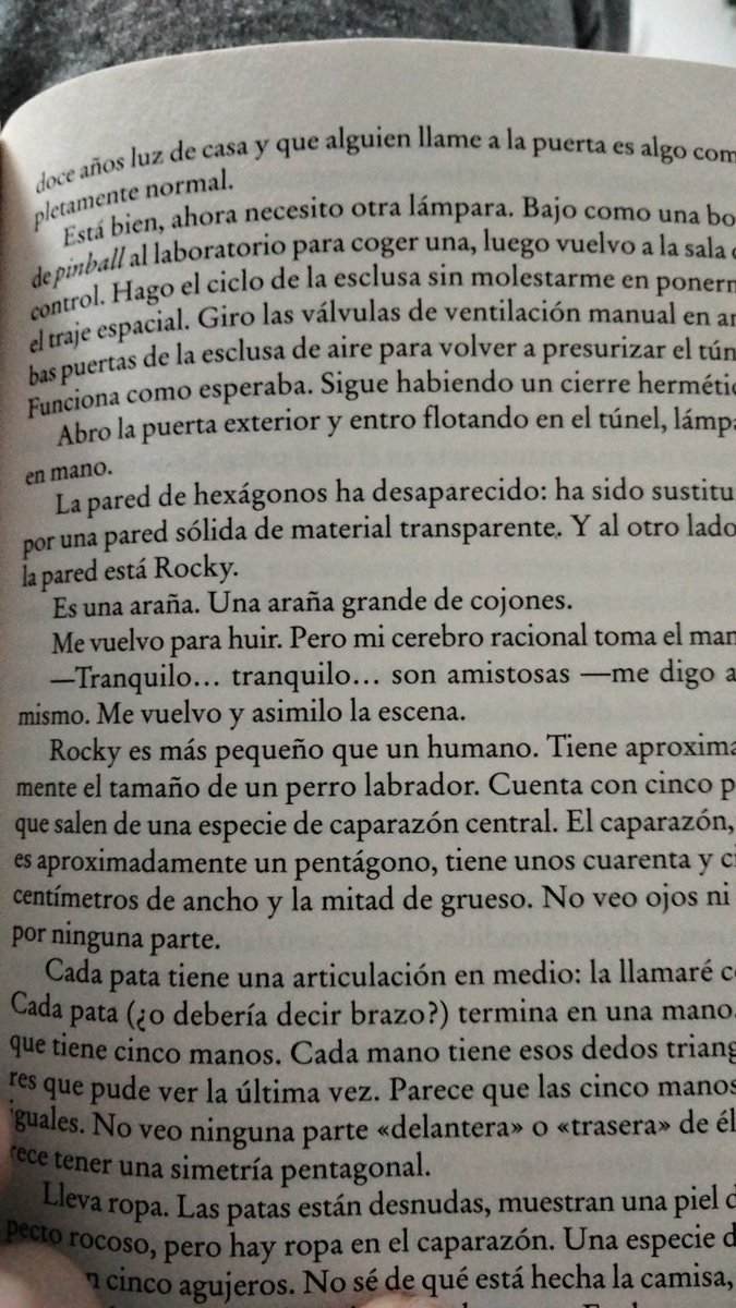 Álvaro dpc🇪🇸 tweet media