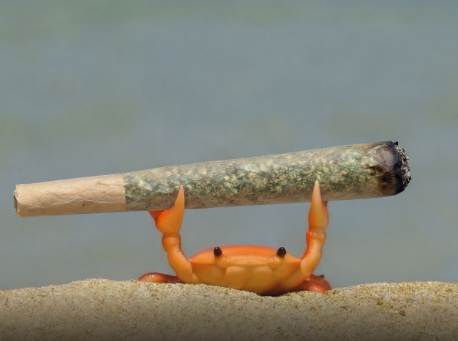 Good morning fellas!