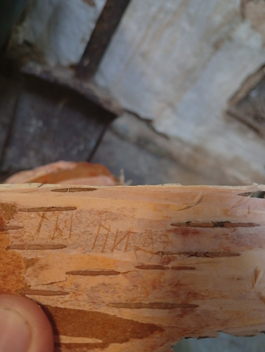 Z Инди в отставке tweet media