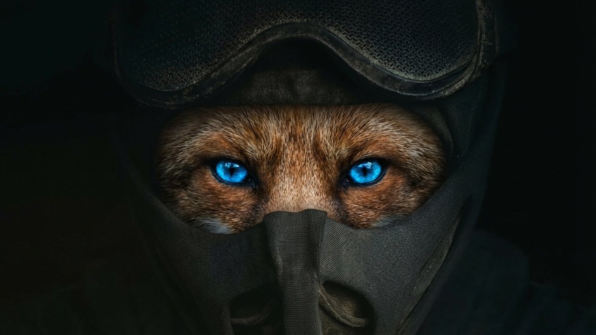 MetaMask 🦊 tweet media