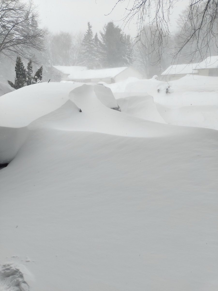 Thierry Goose tweet media