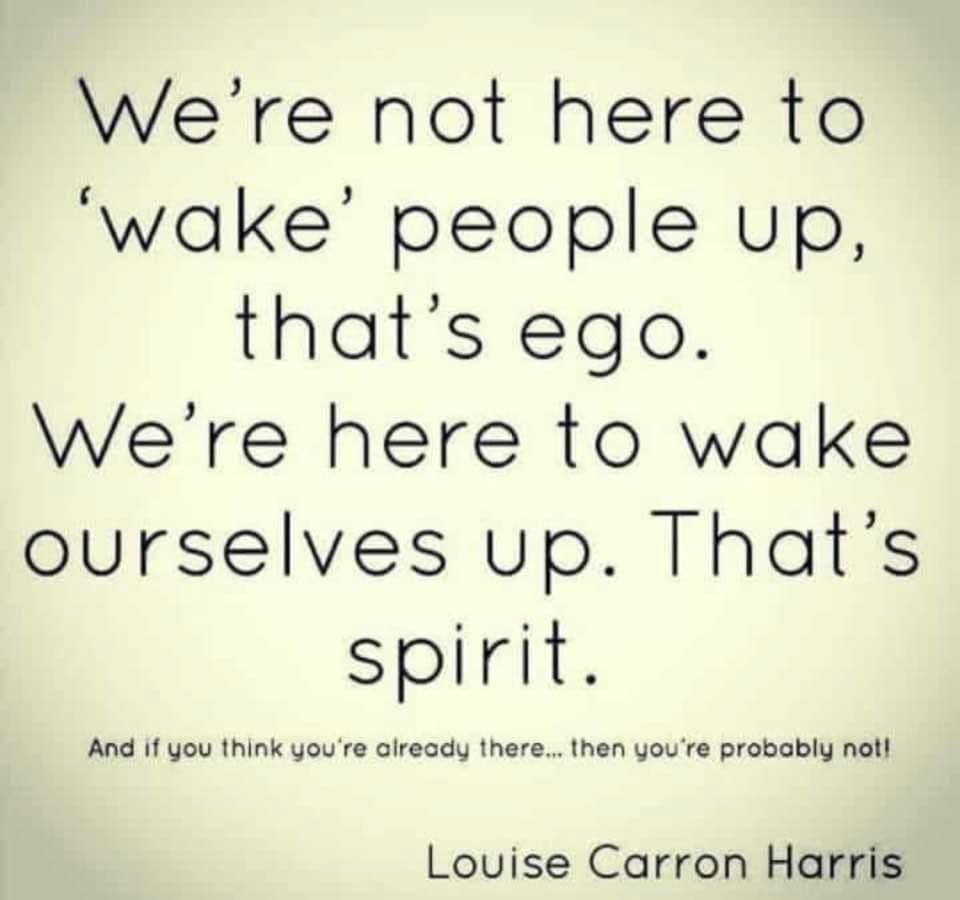 vegastar tweet media