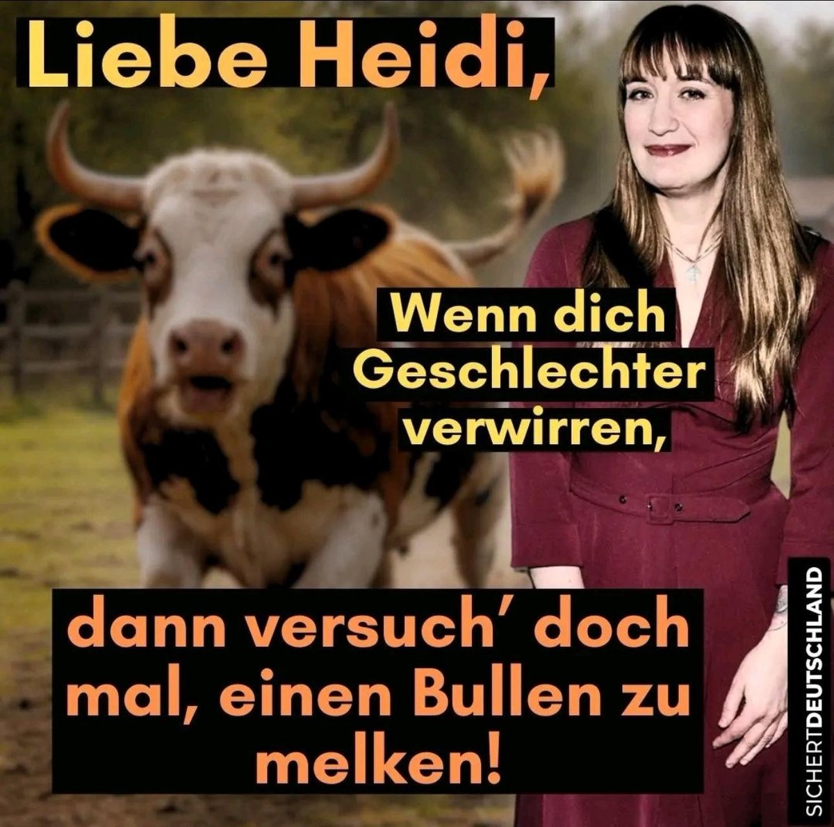 Detlef Stoldt tweet media