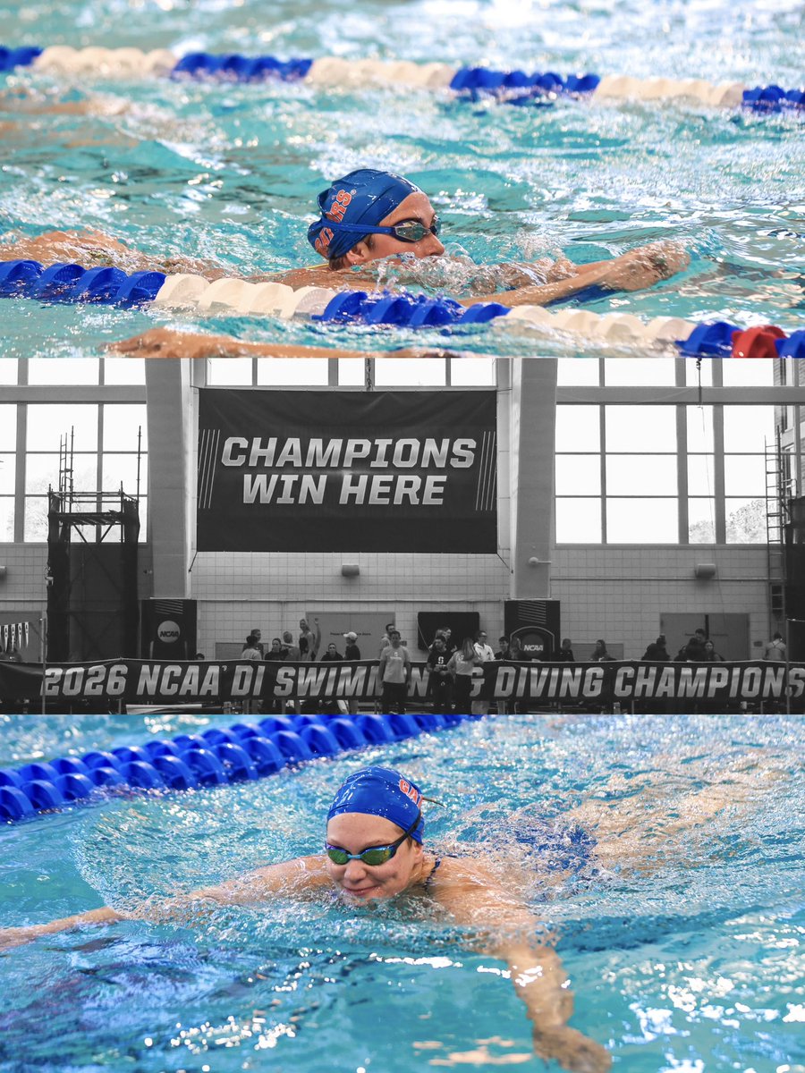 Gators Swimming & Diving tweet media
