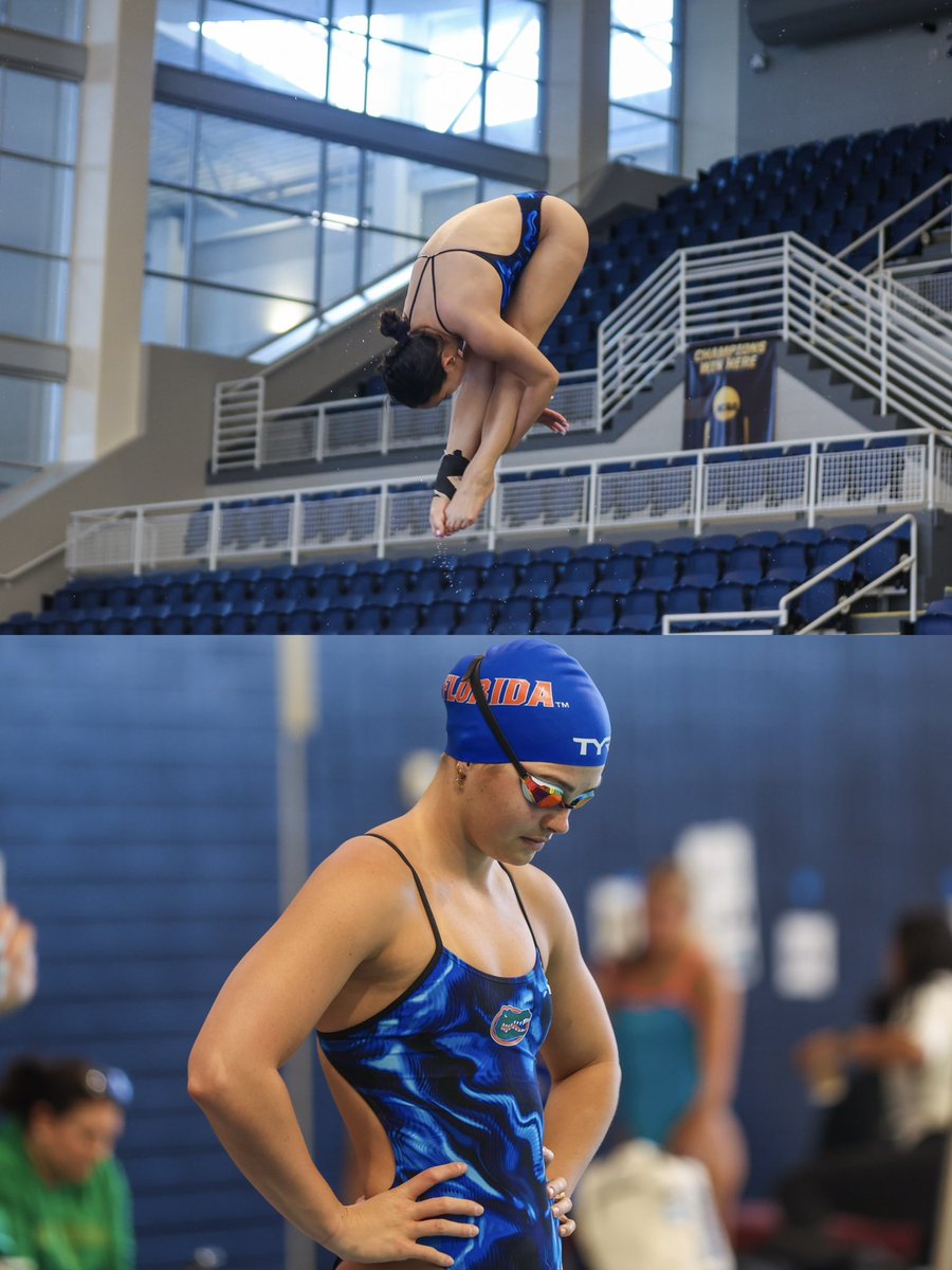 Gators Swimming & Diving tweet media