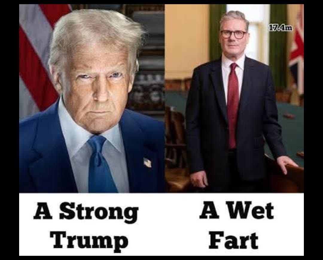 <a href="/LeeHurstComic/">Lee Hurst</a>