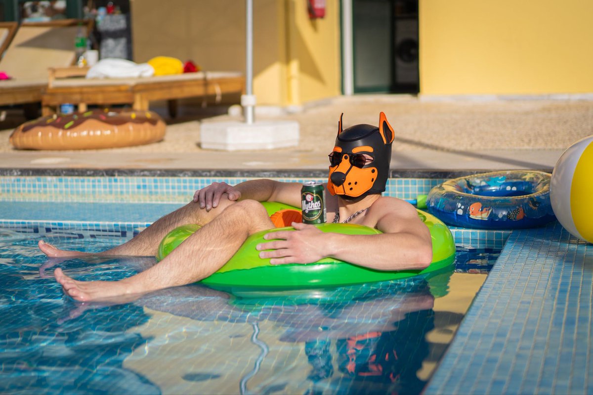 PupCitRussy 🔜 NFC26 tweet media