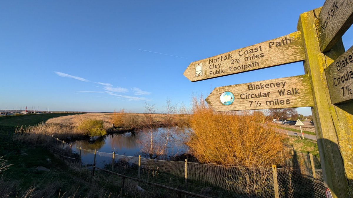 Chuckerbutty Malificent 🇬🇧👀❤️ tweet media