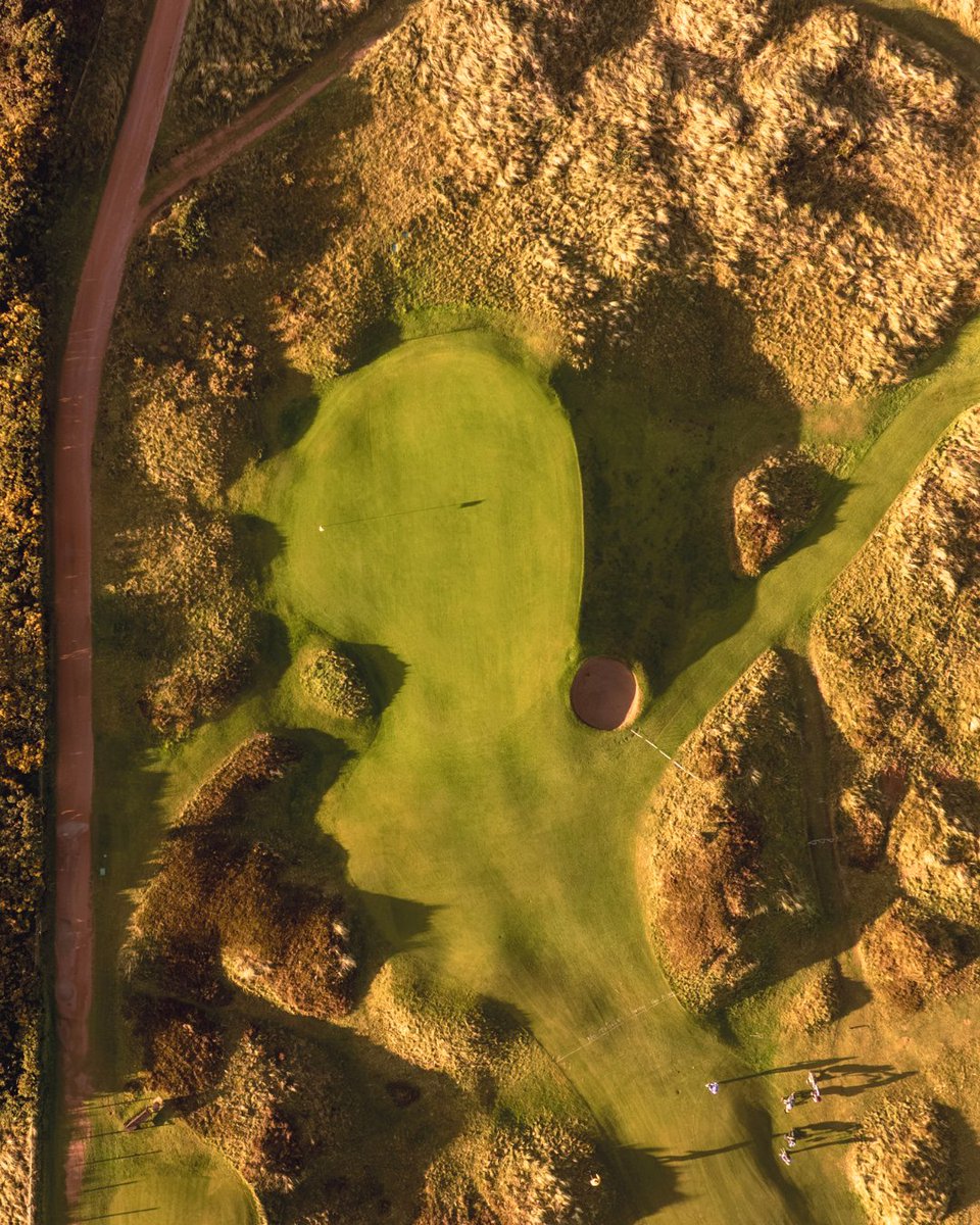 Panmure Golf Club tweet media